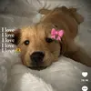prestonpro58 - @yien.saechao6 - TikTok