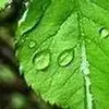 yien.wang - @yien.wang - TikTok