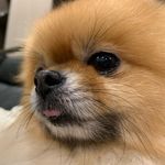 Yifen Chen - @yurou.ycy - Instagram