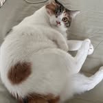 Yige Chen - @yige8509 - Instagram