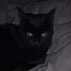 yigechen0 - @yigechen0 - TikTok