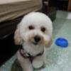 yihongyu - @yuyihong6 - TikTok
