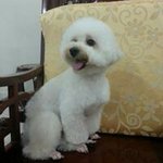 Yu YiHong - @yihong.yu - Instagram