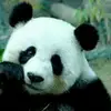 leeyihui - @leeyihui1 - TikTok