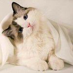 Yi Hui Lee - @yihui.lee.9406 - Instagram