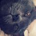 Yihui  Yang - Facebook