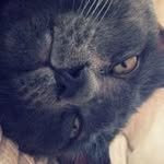 YihuiYang - @yihuiyang60 - Instagram