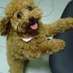 Yi-Jing Chen - @yijing.chen.16 - Instagram