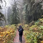Yijing Chen - @yijingchen1899 - Instagram