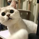 Yijing Chen - @jessica_cyj0518 - Instagram