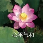 Yik Chow - Facebook