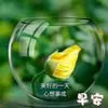 Yik Kam Chow - @ongong790 - TikTok