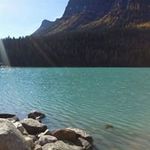 Yim Lai - @lai.yim - Instagram