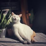 艺敏有座花果山 - @yiminyouzuohuaguoshan - Instagram