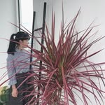 yiming Lu - @iamlyming - Instagram