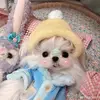 yiminglu4 - @yiminglu4 - TikTok