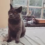 Ying Chai - @yingchai_jen - Instagram