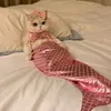Yingchee - @yingchee928 - TikTok