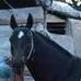 Chien ying emperador y chao fu forastero - Facebook