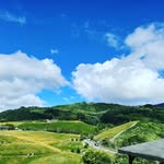 Ying Fu Kao - @yingfukao - Instagram