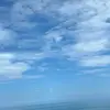 小巴樂 - @yingshao - TikTok
