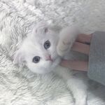 Rina - @yinuo_wang_ - Instagram