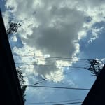 Yinuo Wang - @wang.yinuowang - Instagram