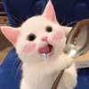 Yirui Fu - @yirui.fu - TikTok