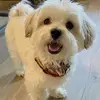 yisel Carrillo - @www.tictoter.com.py - TikTok