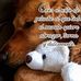 Yisel Hernandez - Facebook