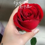 段怡婷 - @duan.yiting - Instagram