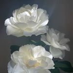 yiting.duan - @yiting.duan4 - Instagram