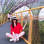 Yiting Tang - @yiting.tang.165 - Instagram