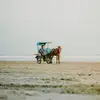 Yitzchok Steinberg - @yitzchok51 - TikTok