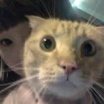 @yiucheng - Instagram
