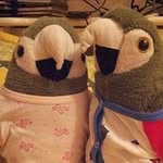 Yiu Eva Ling - @yiu.va.va - Instagram