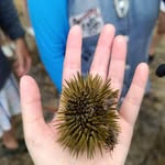 Yiuling Chang - @yiulingchang - Instagram