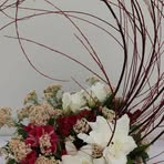 Ying Yee Yiu - Facebook