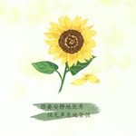 Yiu-yee  Tsang - @yiu_yee - Instagram