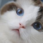 yiwei gao - @yiwei318 - Instagram