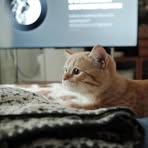 Wang Yiwei - Facebook