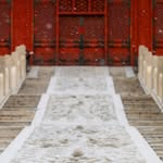 Yiwei Wang - @wangywklogw - Instagram