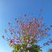 Yiyu Chen - Facebook