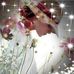 Ynes Flores - Facebook