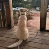 yoav cohen - @yoav_cohen13 - TikTok