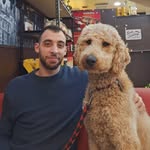 Yoav Cohen - @yoav_cohen10 - Instagram