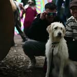 Yoav ofer Cohen - @yoav__cohenn - Instagram