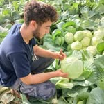 Yoav Roth - @yoav_lavi_00 - Instagram