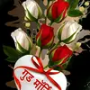 Yogesh Amin - @yogeshamin3 - TikTok