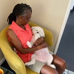 Yogi Johnson - @yogispets - Instagram